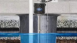 pedestal pump vs submersible sump pump